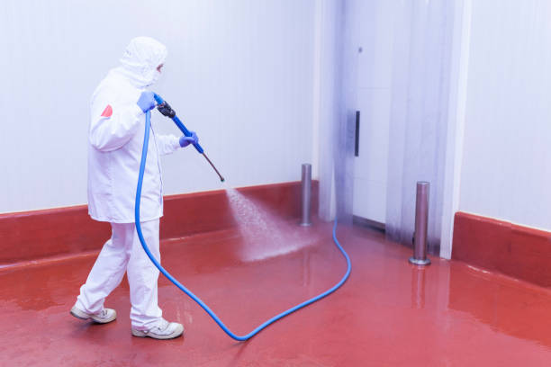 Best Dumpster Area Cleaning  in Beaumont, TX