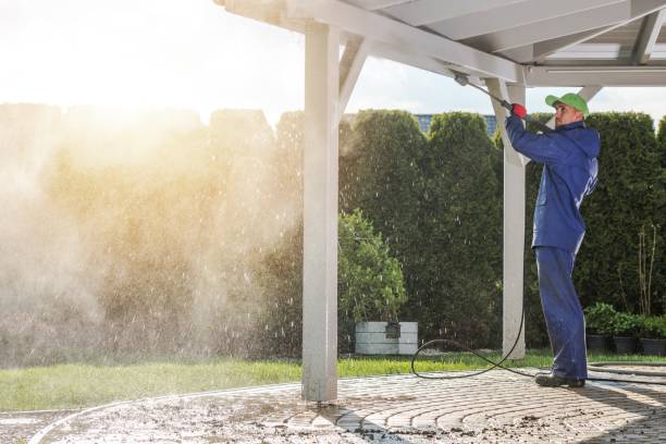 Best Solar Panel Cleaning  in Beaumont, TX